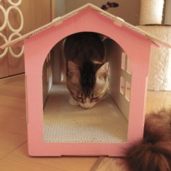 猫ハウス とびばこ とんで ミルにゃん！  DanRism段ボール家具 